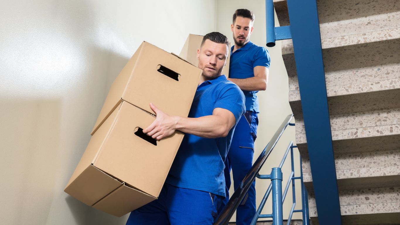 Hire cheap movers